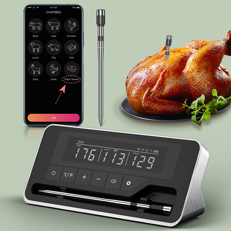 Meat Thermometer Wireless Prob - Digital Thermometer Probe recension och pris
