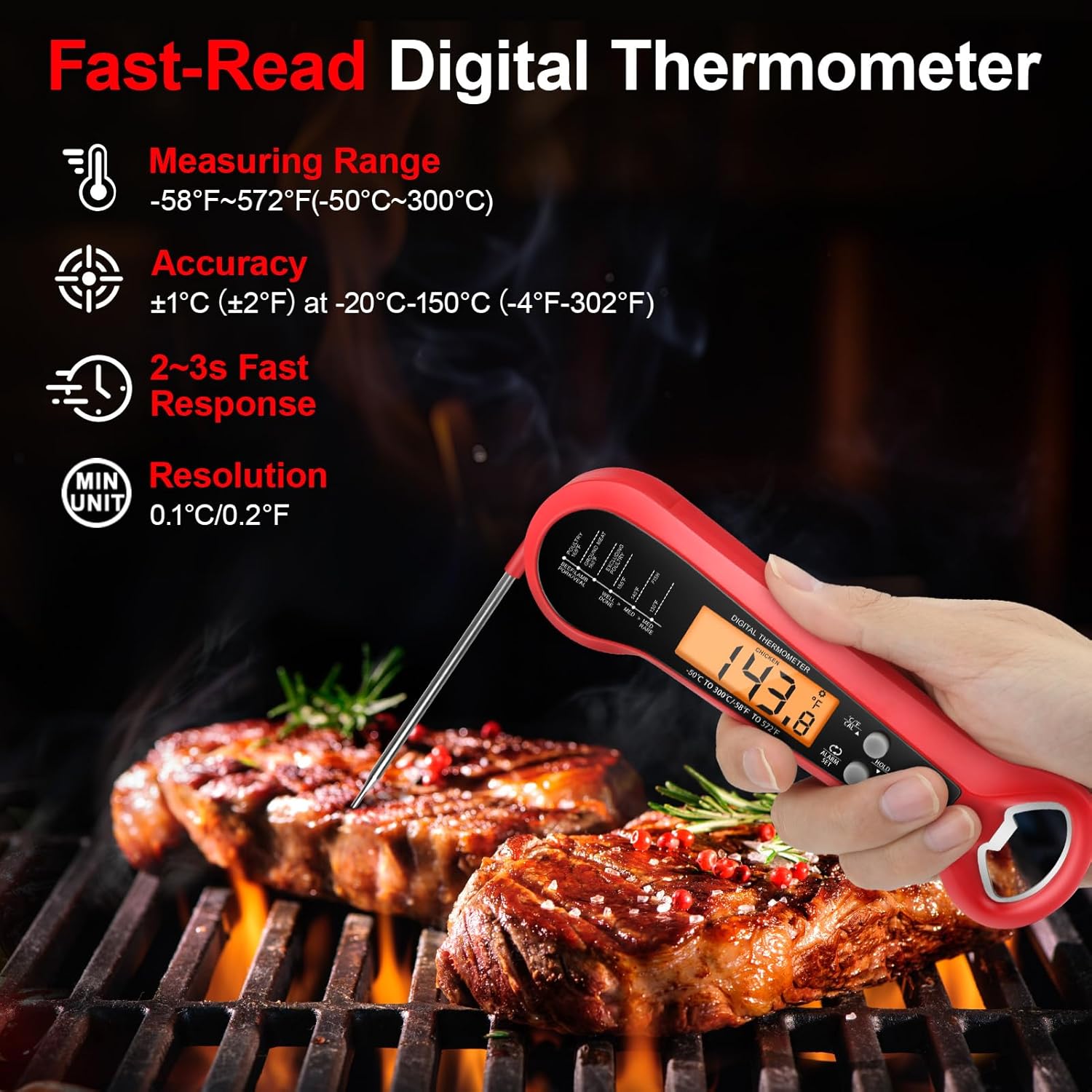 Professional Digital Meat Ther - Digital Thermometer Probe recension och pris